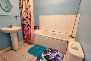 16 Hampton Woods, Balbriggan, Co. Dublin - 12