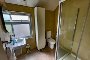 301 Saint Attracta Road, Cabra, Dublin 7 - 18