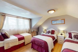 555 South Circular Road, Dublin 8, D08R1X0 - 17