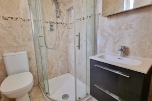 9 Deerhaven Avenue, Clonee, Clonsilla, Dublin 15 - 20