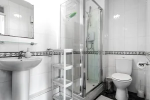 Apt 15, 64 Mountjoy Square West, City Centre, Dublin 1 - 11